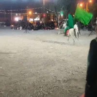 اسب مادیون|اسب و تجهیزات اسب‌سواری|پادنا, |دیوار