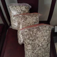 پوشال مخصوص پرنده با اشانتیون