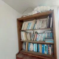 کمد چوبی|کتابخانه، شلف، قفسه‌های دیواری|مهریز, |دیوار