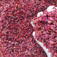 زرشک اناری عمده|خوردنی و آشامیدنی|اصفهان, نقش جهان|دیوار