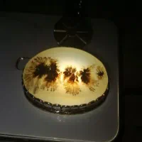 انگشتر.کلکسیون خاص.شجر