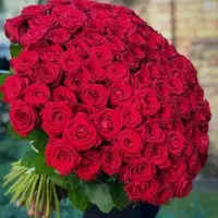 ارامش و راهمنایی