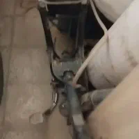 تنه ویو