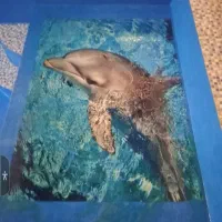 ویلای استخردارلاکچری دو طبقه در۳۷۷مترزمین|فروش خانه و ویلا|تهران, دریاچه شهدای خلیج فارس|دیوار