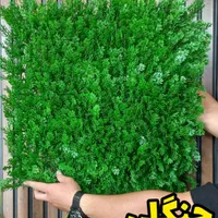 فروش و اجرا چمن مصنوعی|مصالح و تجهیزات ساختمان|رفسنجان, |دیوار