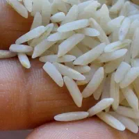 برنج طارم هاشمی فریدونکنار|خوردنی و آشامیدنی|هشتگرد, فاز ۷ مهستان|دیوار