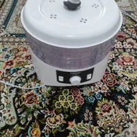 میوه خشک کن درحد