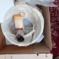 پلو پز قدیمی|ظروف پخت‌وپز|آران و بیدگل, |دیوار