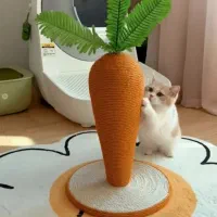 ساخت انواع اسکرچرهای کنفی|لوازم جانبی حیوانات|رشت, پستک|دیوار