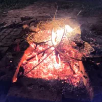 پک آموزشی ترید