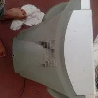 تلویزیون 21سامسونگ|تلویزیون و پروژکتور|فاضل آباد, |دیوار