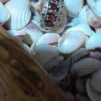 انگشتر نقره