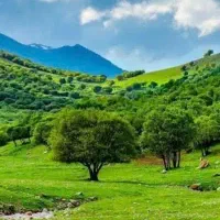 زمین