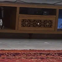 زیر تلویزیونی