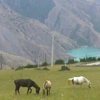 ۱۴۰ زمین کلاردشت داخل بافت بر جاده اسفالته|فروش زمین و ملک کلنگی|کلاردشت, |دیوار