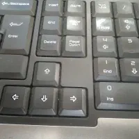 تهیه فرمهای اکسل، تایپ