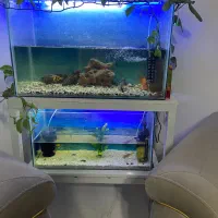 دو عدد آکواریوم