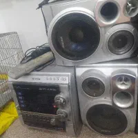 ضبط