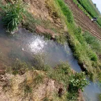 ۳۰۰۰۰ متر زمین کشاورزی روستای فارسیان|فروش دفتر صنعتی، کشاورزی، تجاری|دشتابی, |دیوار