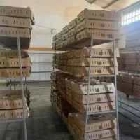 جوجه مرغ محلی گلپایگان اصلاح نژاد بومی