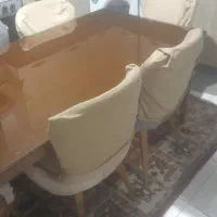 میز نهار خوری نو نو ۶نفر ۳۵۰۰۰۰۰۰|میز و صندلی غذاخوری|باغستان, |دیوار