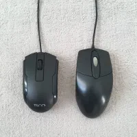 و عدد موس سالم