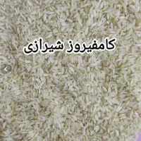 برنج کامفیروزی