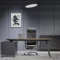 کارشناس خانم امور مهاجرتی