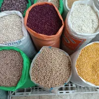 فروشنده در مغازه