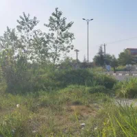 زمین تجاری مسکونی 400متر بر اتوبان زیباکنار|فروش زمین و ملک کلنگی|لشت نشا, |دیوار