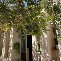 فروش ملک ویلایی حیاط دار