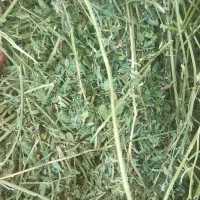 یونجه مخصوص خرگوش|لوازم جانبی حیوانات|اصفهان, دارک|دیوار