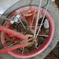 معامله دوچرخه با مرغ کبوتر.ناهوک