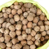 گردو|خوردنی و آشامیدنی|شیراز, شهرک قمشه|دیوار