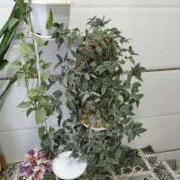 گل های طبیعی و استند فلزی گلدان