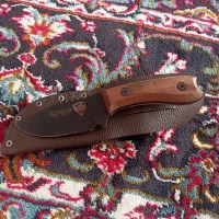 کارد تیز و خوش دست