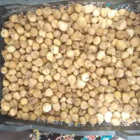 فروش انجیر