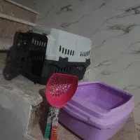 لوازم نگهداری گربه