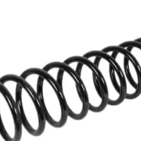 فنر لول ساینا