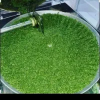 قرمه سبزی آشی کوکو ۸۰پاک شده خردشده۱۵۰
