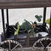 قطار چوبی|گل مصنوعی|قیامدشت - خاورشهر, |دیوار