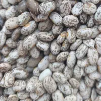 لوبیا چیتی درجه یک زود پز تمیز|خوردنی و آشامیدنی|فاضل آباد, |دیوار