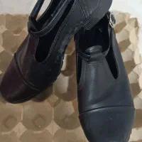 کفش سایز ۳۷|کیف، کفش، کمربند|پرند, فاز ۵|دیوار