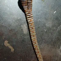تسبیح نقره کوب افعی