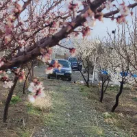 منزل اجاره ای