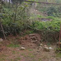 ۵۰۰متر زمین خانه و محوطه جنگلی|فروش خانه و ویلا|شفت, |دیوار