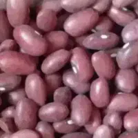 لوبیا قرمز