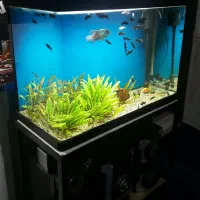 اکواریوم خارجی کمری