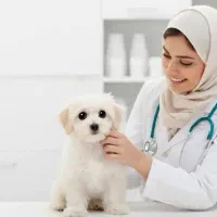 جذب فوری همکار