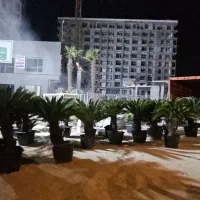 سرپرست جعت  نظارت کار فضای سبز